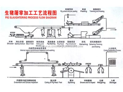 生猪英亚|英亚官网|首页工艺示意图