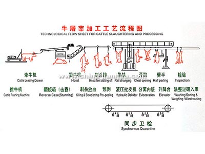 牛羊英亚|英亚官网|首页工艺示意图